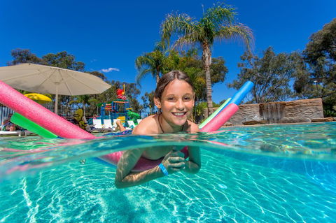 BIG4 Renmark Riverfront Holiday Park - SA Accommodation 19