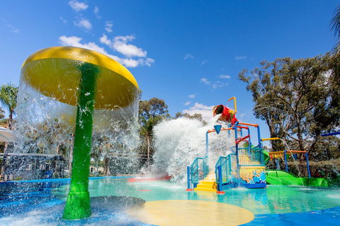 BIG4 Renmark Riverfront Holiday Park - SA Accommodation 11