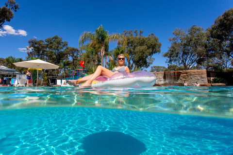 BIG4 Renmark Riverfront Holiday Park - SA Accommodation 18
