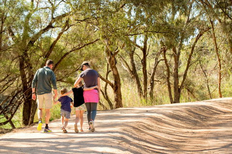 BIG4 Renmark Riverfront Holiday Park - SA Accommodation 13