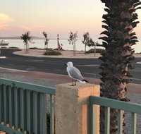 Shark Bay Seafront Apartments - SA Accommodation