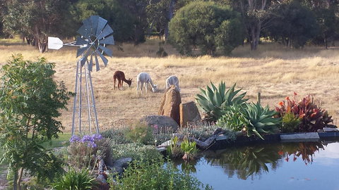 Glenelg On King Bed & Breakfast - SA Accommodation 19