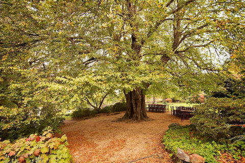 Nesuto Leura Gardens (formerly Waldorf Leura Gardens Resort) - SA Accommodation 1