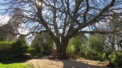 Nesuto Leura Gardens (formerly Waldorf Leura Gardens Resort) - SA Accommodation 3
