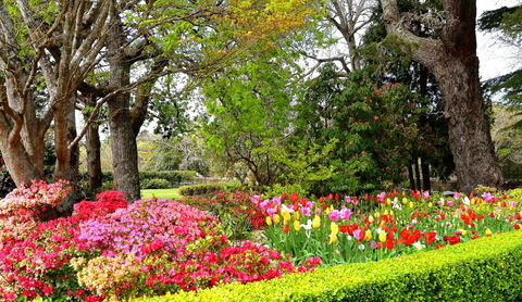 Nesuto Leura Gardens (formerly Waldorf Leura Gardens Resort) - SA Accommodation 8
