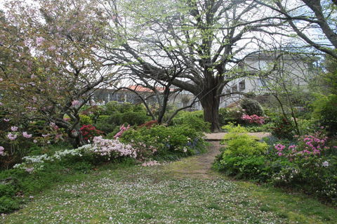 Nesuto Leura Gardens (formerly Waldorf Leura Gardens Resort) - SA Accommodation 4