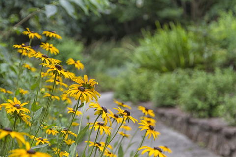 Nesuto Leura Gardens (formerly Waldorf Leura Gardens Resort) - SA Accommodation 16