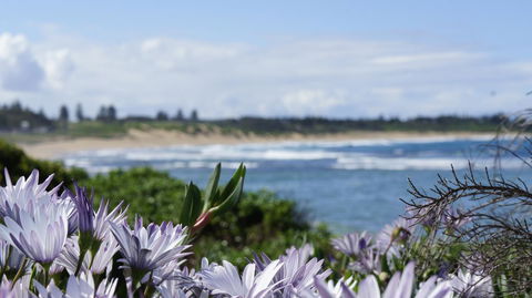 Blue Lagoon Beach Resort - SA Accommodation 18