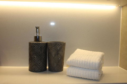 Stunning Views Sydney Olympic Park - SA Accommodation 24
