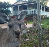 Bush  Bay Cottage - SA Accommodation