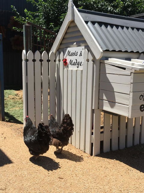 Thelma's Temora - SA Accommodation 12