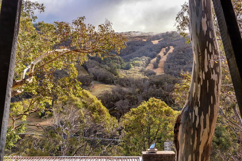 Pure Chalet Thredbo - SA Accommodation 35