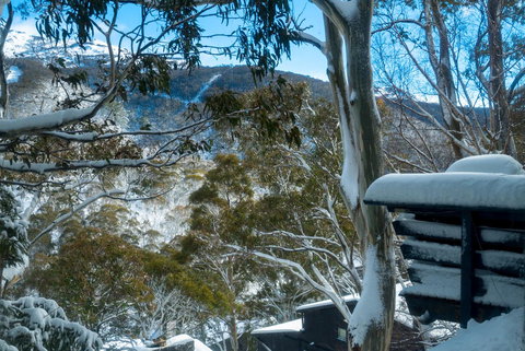 Pure Chalet Thredbo - SA Accommodation 30