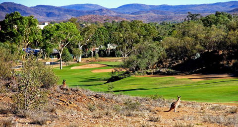 Desert Palms Alice Springs - SA Accommodation 30