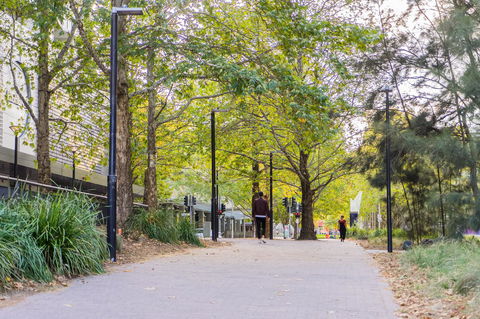 Highgate Executive Apartment City Walk Canberra - SA Accommodation 39