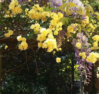 Bowral Road Bed and Breakfast - SA Accommodation