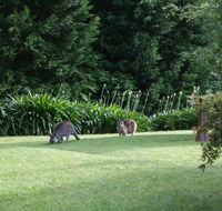 Bundanoon 2578 - SA Accommodation