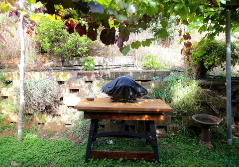 Bushy Park Retreat - SA Accommodation 2