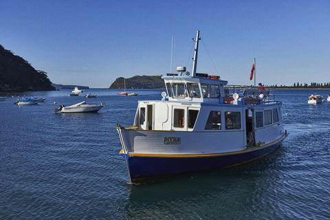 Cape Mackerel Cabin With Magic Palm Beach & Pittwater Views - SA Accommodation 2