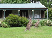 Book Mount Victoria Accommodation Vacations SA Accommodation SA Accommodation
