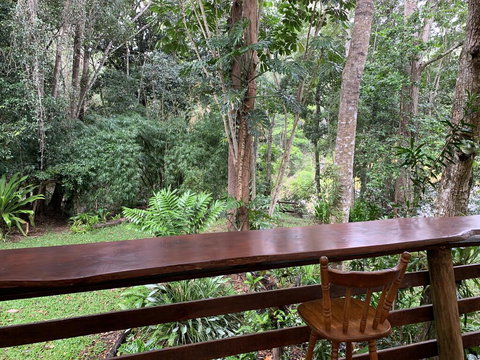 Cedar Park Rainforest Resort - SA Accommodation 2