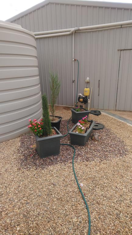 Chrissie's Dongara - SA Accommodation 2