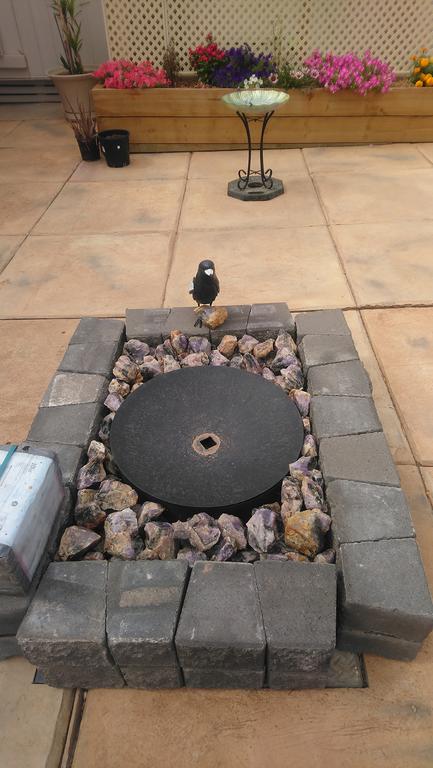 Chrissie's Dongara - SA Accommodation 3