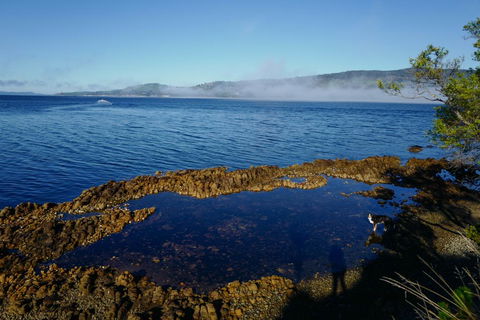 Coast House Tasmania - SA Accommodation 2