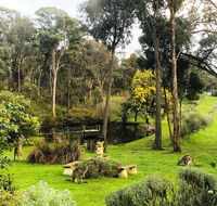 Countryside Retreat Intimate Studio Hepburn - Daylesford - SA Accommodation