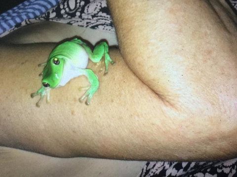 De Shed Shannonvale - SA Accommodation 1