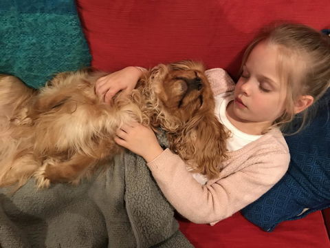 Dingup House - SA Accommodation 2