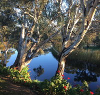 Donald Riverside Motel - SA Accommodation