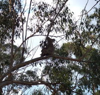 Escape to the Country - Enjoy the firepit or explore magical Bunya Mountains - SA Accommodation