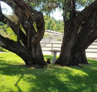 Farm Stay Studio - SA Accommodation