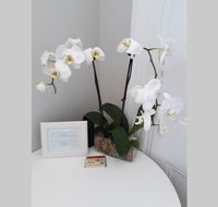 Gawler Heritage Accommodation - SA Accommodation