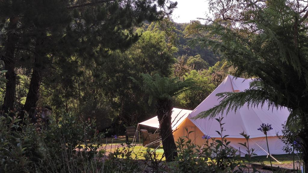 Renison Bell TAS SA Accommodation