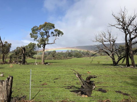 Grampians Old Man Emu Stay - SA Accommodation 2