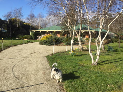 Green Gables B&B - SA Accommodation 1