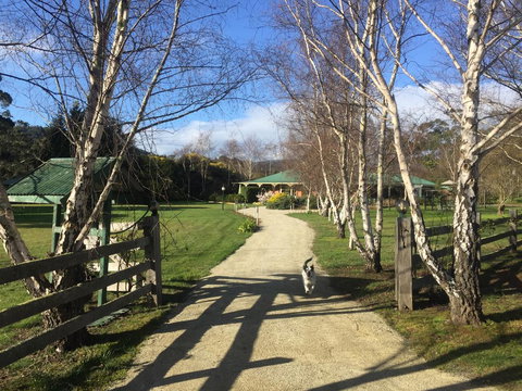 Green Gables B&B - SA Accommodation 0