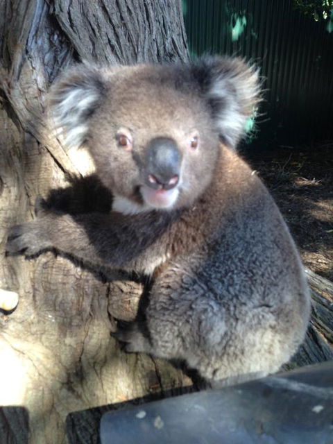 Harmony At Tower Hill - SA Accommodation 2