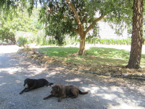 Molenda Lodge Farm Let - SA Accommodation 3