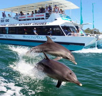 Belvedere Caravan Park - SA Accommodation