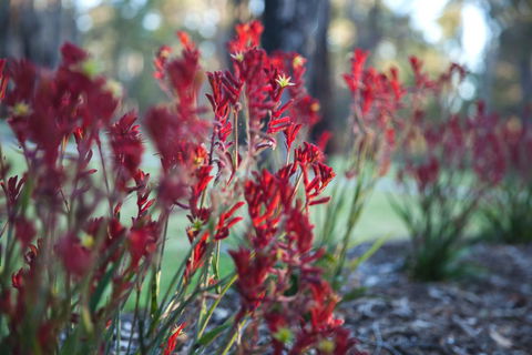 Amaroo Retreat & Spa - SA Accommodation 16