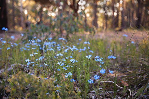 Amaroo Retreat & Spa - SA Accommodation 15