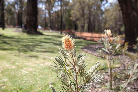 Amaroo Retreat & Spa - SA Accommodation 19