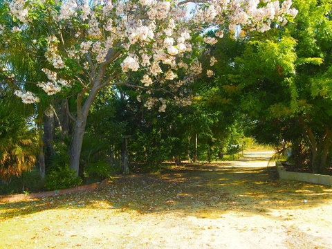 Majestichomestead B&B - SA Accommodation 33