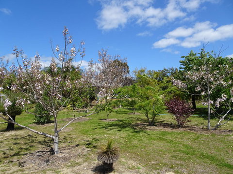 Majestichomestead B&B - SA Accommodation 27