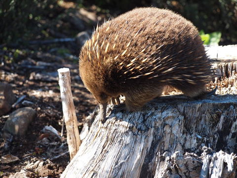 Erriba House - SA Accommodation 14