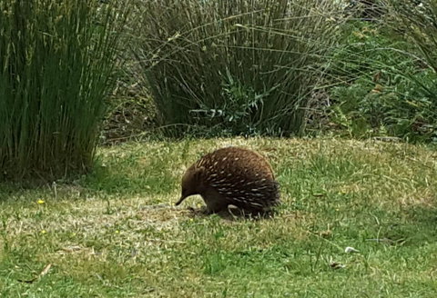 Erriba House - SA Accommodation 10