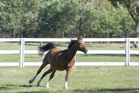 Country Club Villas - SA Accommodation 19